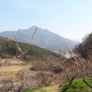 순조농장 이미지