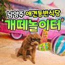 사릉로400 | 남양주 애견동반식당 가성비 좋은 이벤트 개떼놀이터!
