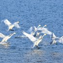 귀거래사 이미지