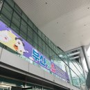 개 친절 펫택시 이미지