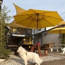 또자펜션 이미지