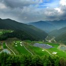 오투리조트 C.C 이미지