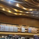 교보타워 | [신논현역] 스타벅스 강남교보타워R점카페 방문 후기 ☕️