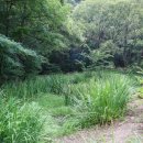 현대자동차신봉점 이미지