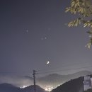 나이스카랜드 이미지