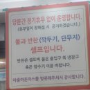 [맛집]대전 아줌마돈까스 후기