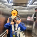 단남 | (배낭여행 50일차)라오스 방비엥에서 비엔티엔 라니스하우스 바이 더 폰즈