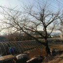 임자공인중개사사무소 이미지