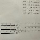 세렌디 피티 짐 이미지