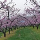 용학도서관 이미지