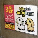 포포앤미루 강동점 | 서울 강동구 천호 송파애견카페 : 포포앤미루 아이들과함께 방문후기
