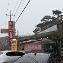 낙지한마리 | [충남 태안] 애견동반 가능한 칼국수, 낙지덮밥 맛집! 내돈내산 후기