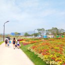 오천그린아일랜드 화장실 이미지