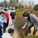 삼도초등학교 이미지