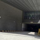 대구혁신메디컬 동물병원 | 대구 수성구 동물병원 추천 본동물메디컬센터24시수성점 노묘 신장 초음파 정밀검진 후기