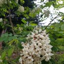 강원농장 이미지