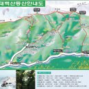 태백사 Daum카페