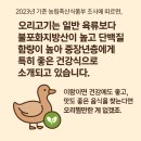 황토축산 - 고양시 일산서구 일청로8번길 9 | 용문 춘장골 황토오리찜 후기, 가족 나들이에 딱 좋은 건강식 맛집 추천