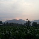 일출환경 이미지