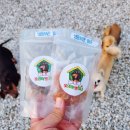 꽃댕이 멍집사 이미지