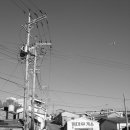 용호농장 이미지