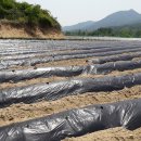 앙성면사무소 이미지