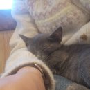 집사의하루 남포점 이미지