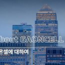 가온글로벌 주식회사