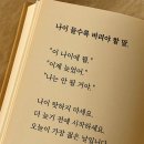 8박9일간 제주 야영 여행을 마치며 이미지