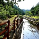 삼척산양농산촌체험마을 이미지