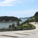 바다향기애 이미지