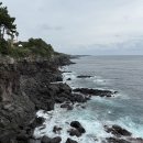 위미스테이 | 혼자 제주도 여행 9, 10일차 기록