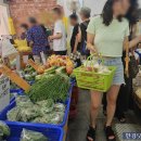 바글바글 이미지