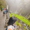 대교제일할인마트 | 시즈오카 자유여행 후지산 버스투어 후기