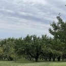 만회농장 이미지