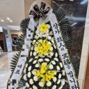 팡세아모아