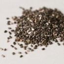 씨드요가 이미지