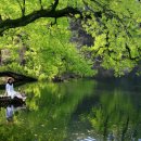 고요 이웃 이미지