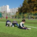 호계운동장 이미지