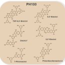 트리바이오 이미지