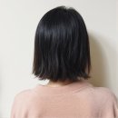아름다운 애월읍 꽃집에서의 특별한 경험 후기