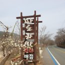 섬진강 파노라마 펜션 이미지