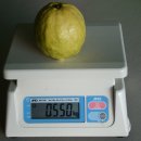 기현농장 이미지