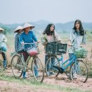 국제 VISA 행정사 이미지