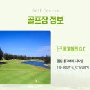알파골프 이미지