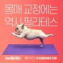 다올필라테스 네이버블로그