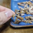 녹동건어물판매장 이미지