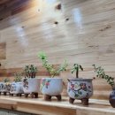 내당초 | 반고개역 내당초 맛집 하루꼬마김밥 후기입니다.