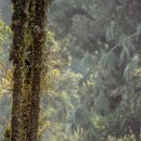 인천중앙한의원 이미지