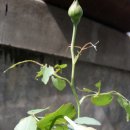 인선농장 이미지